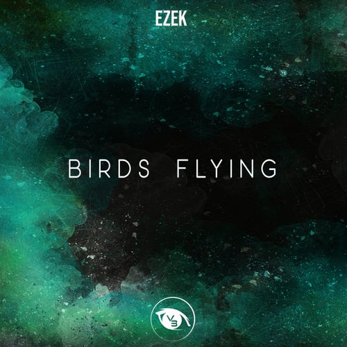 Ezek – Birds Flying [VSN069]